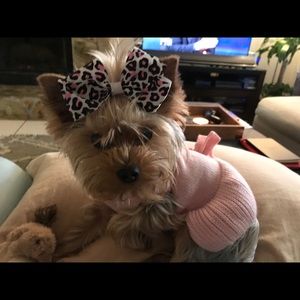 Meet your Posher, Tracy